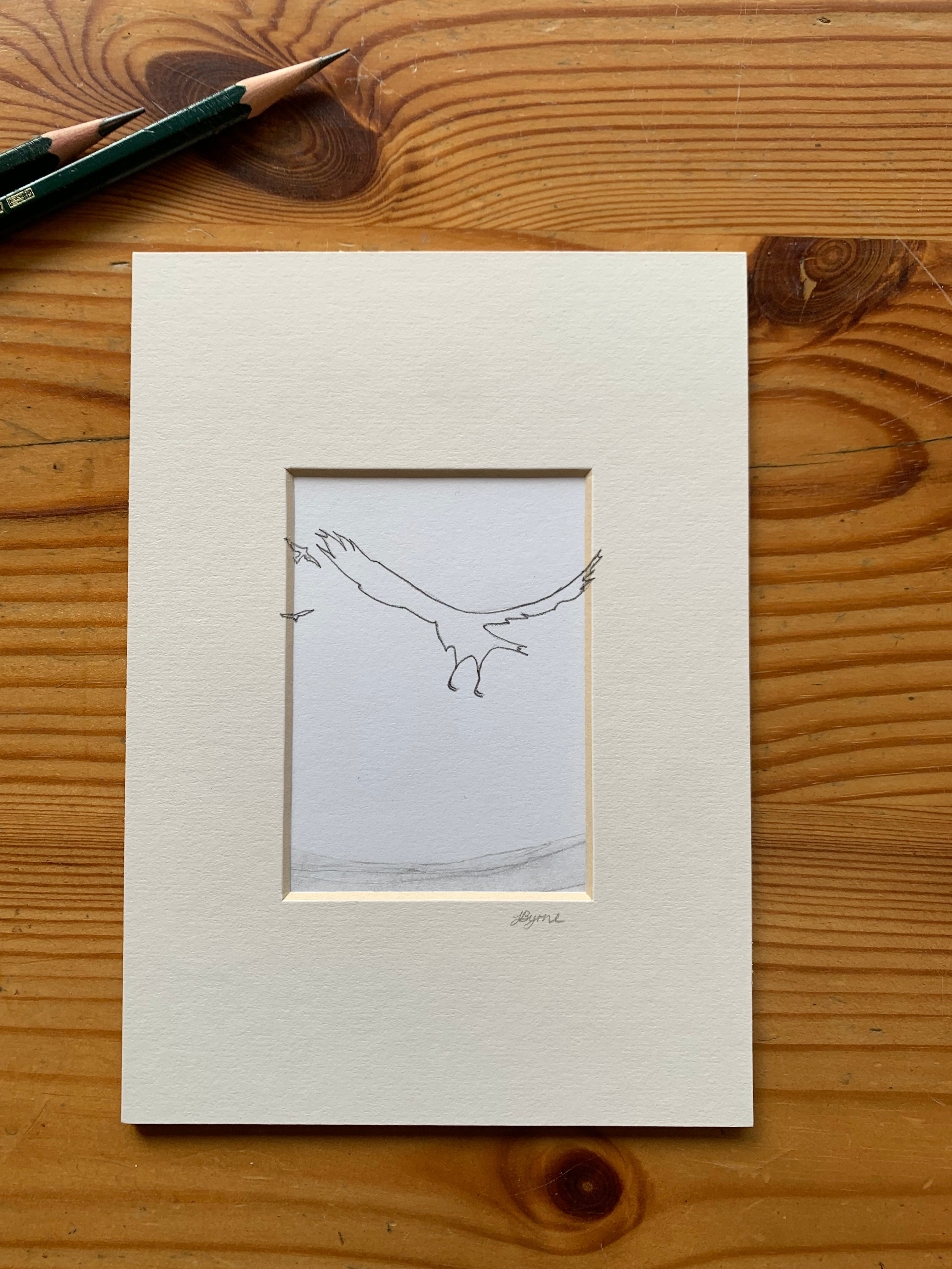 Flying Crows