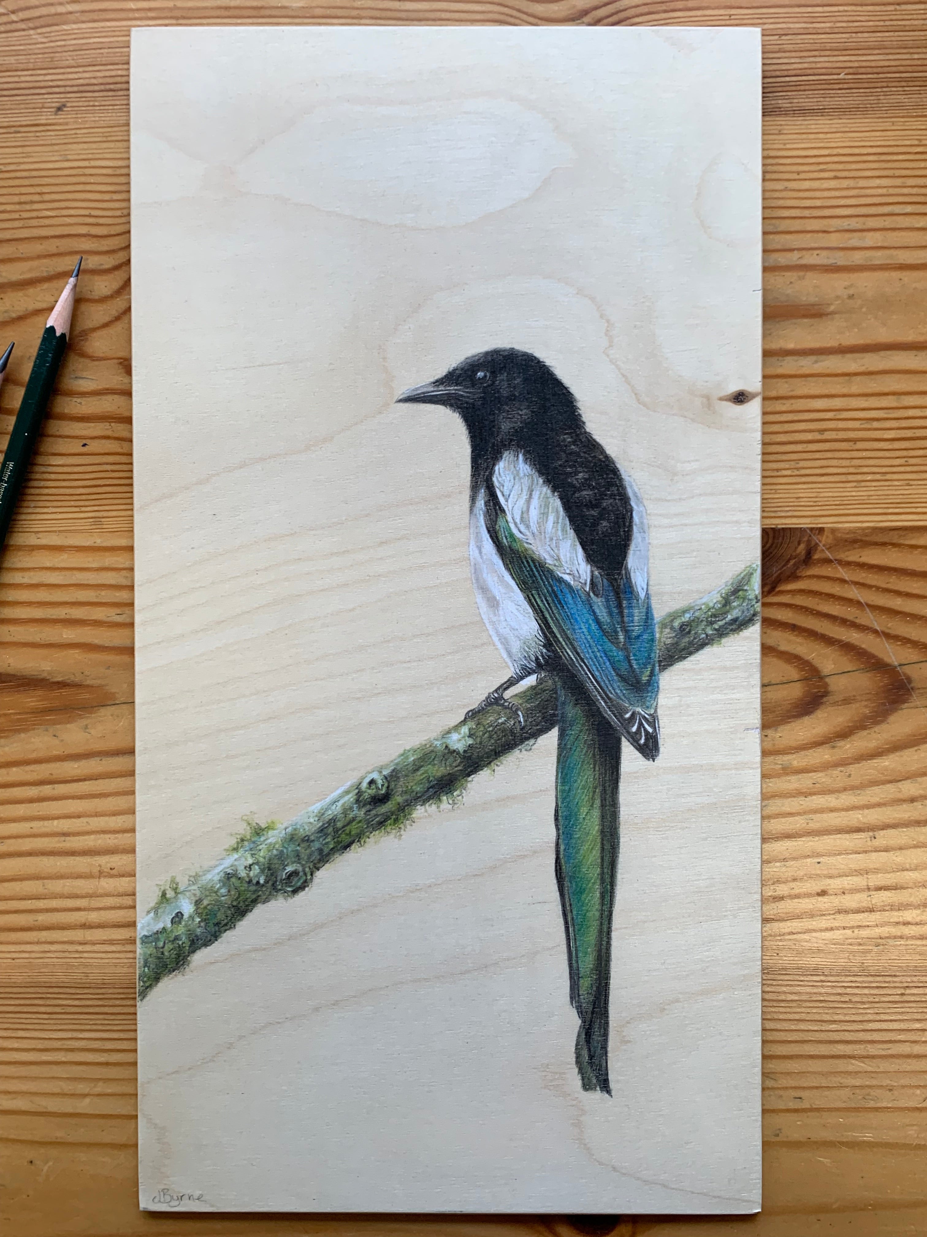 Magpie