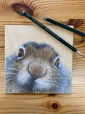 Cute Mountain Hare Drawing On Wood