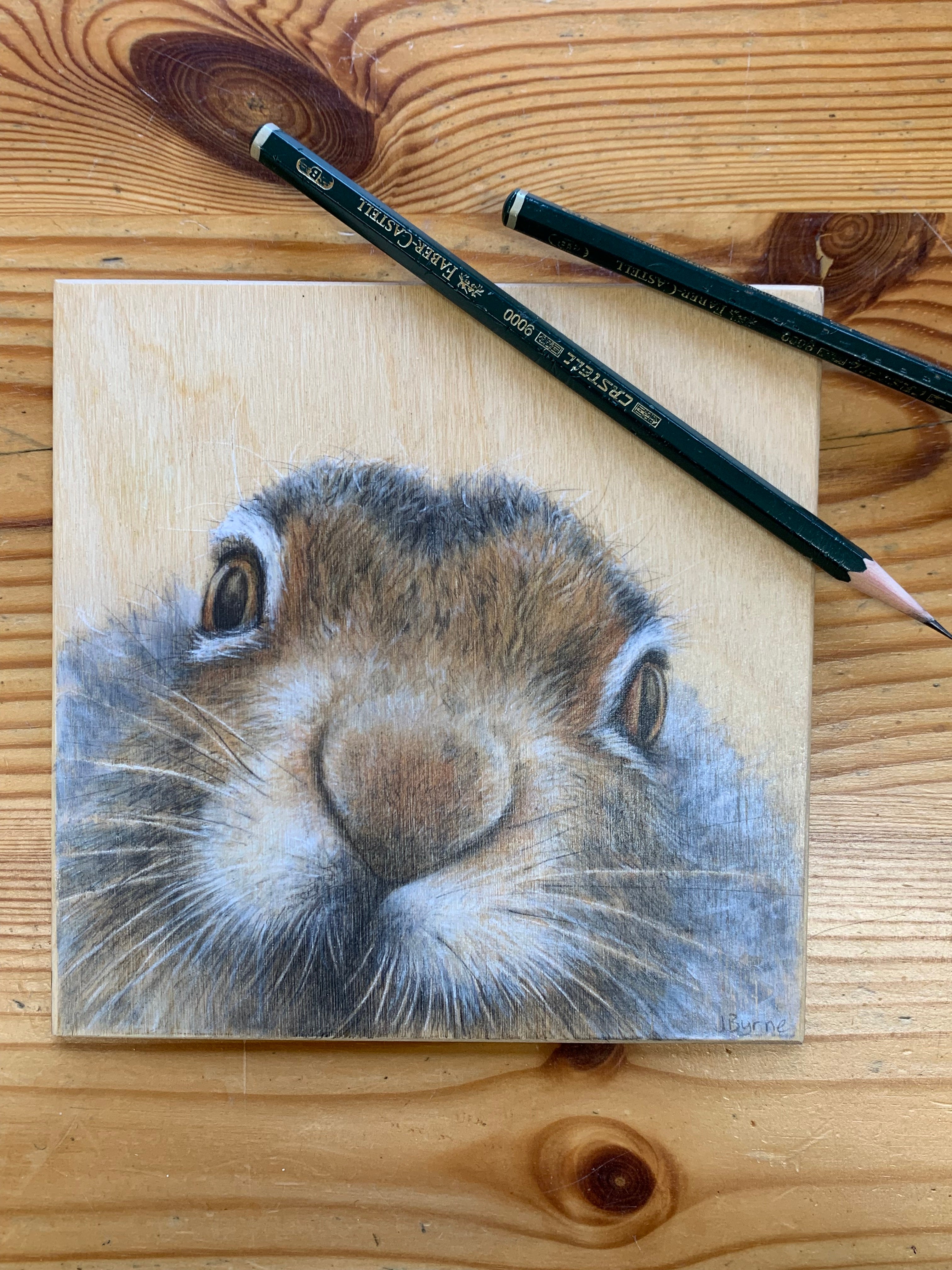 Cute Mountain Hare Drawing On Wood