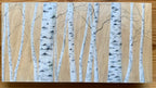 Birch Trees