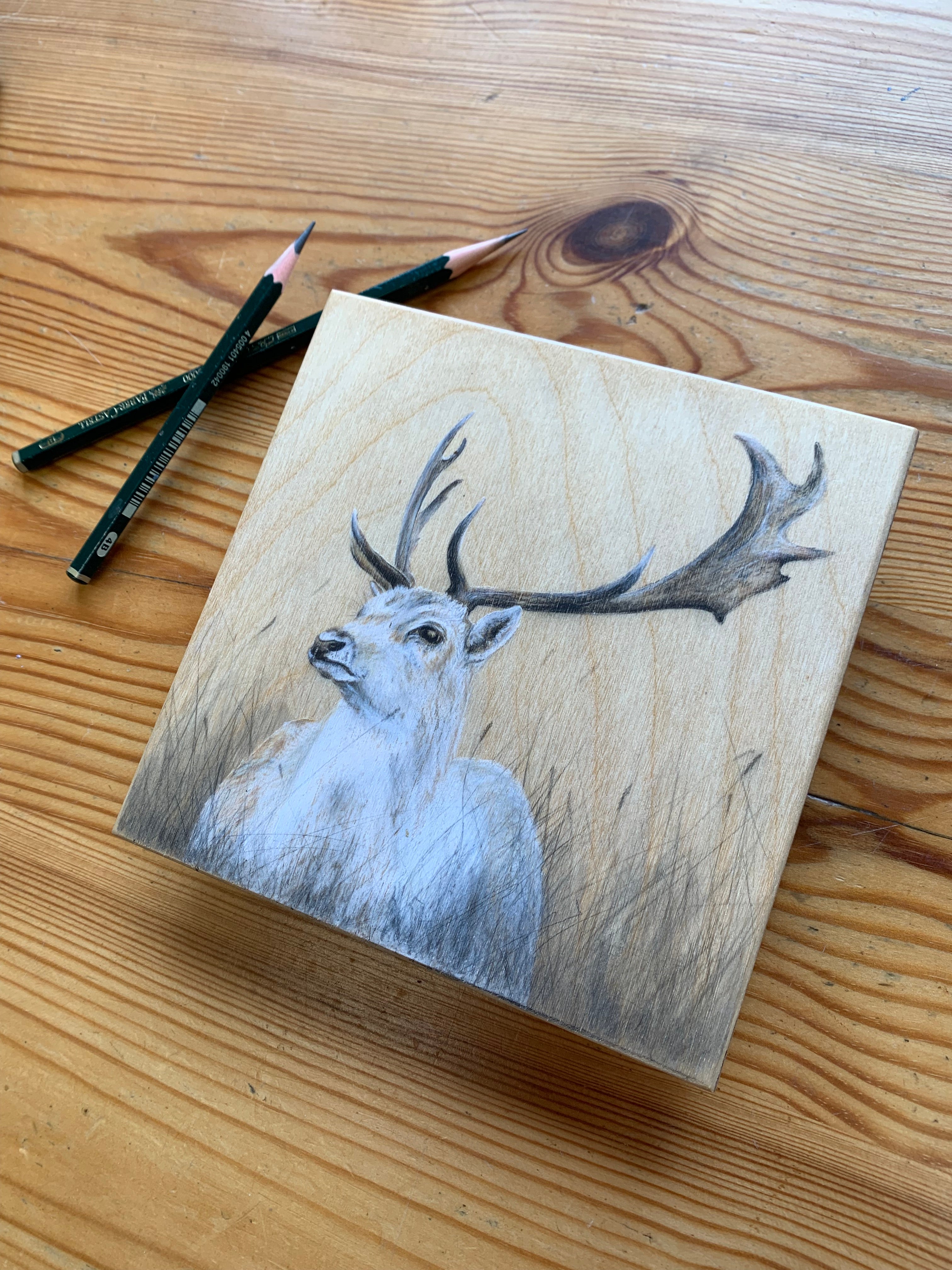 White Stag Drawing On Wood