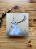 White Stag Drawing On Wood