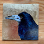 Rook Portrait