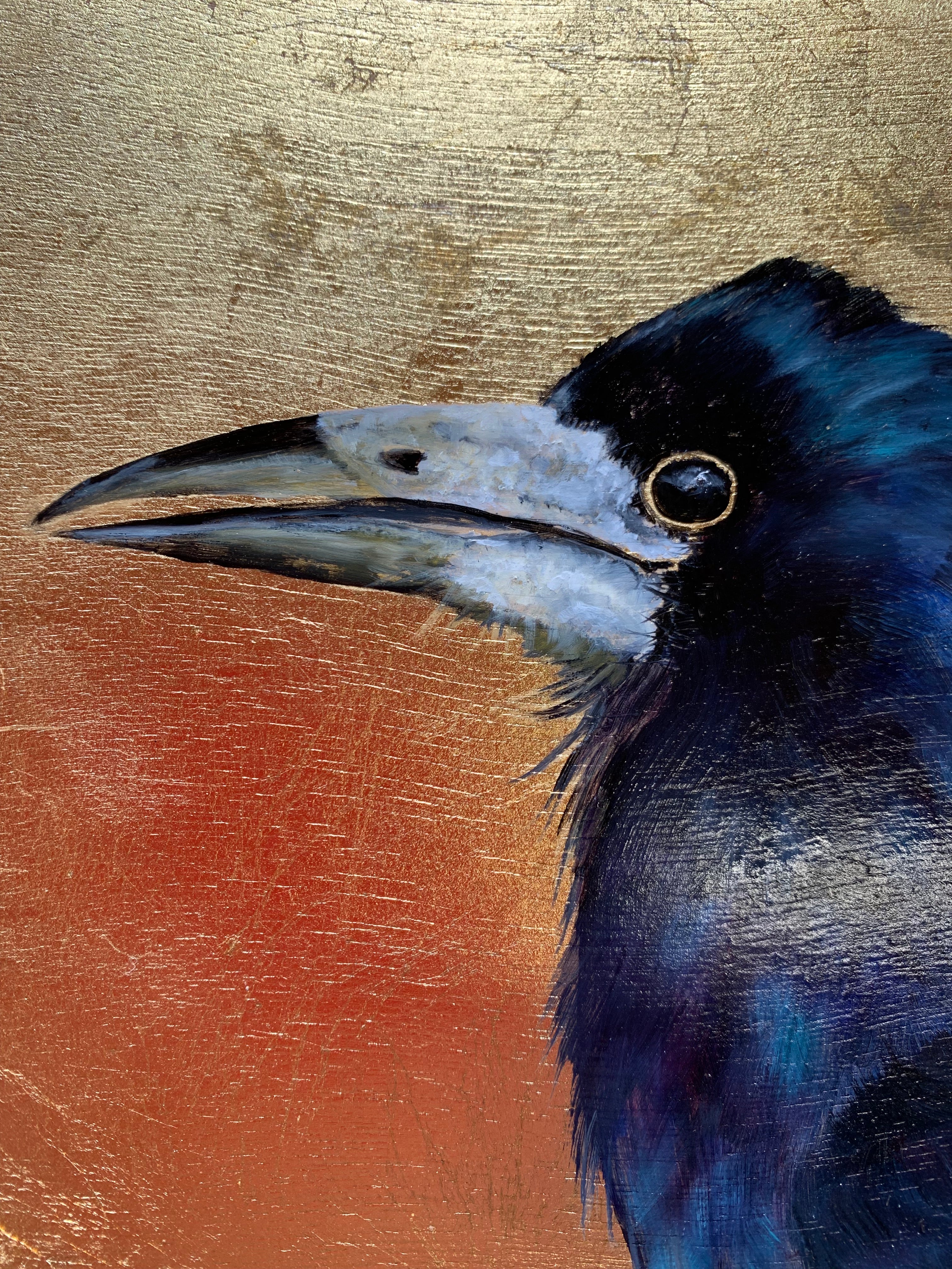 Rook Portrait