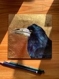 Rook Portrait