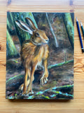 Woodland Hare