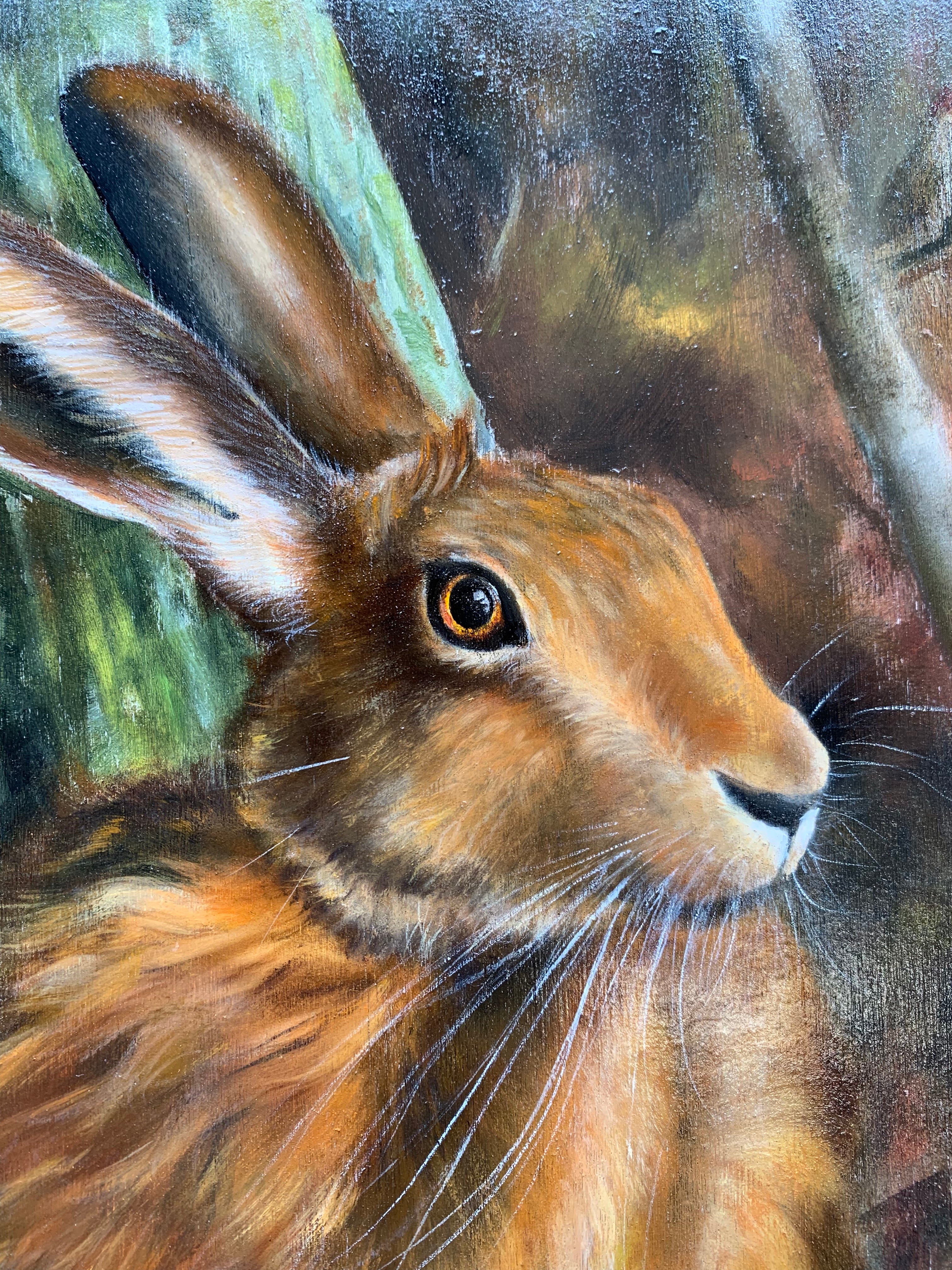 Woodland Hare