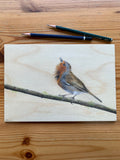Singing Robin