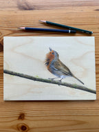 Singing Robin