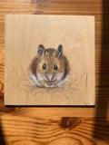 Woodmouse