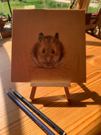 Woodmouse